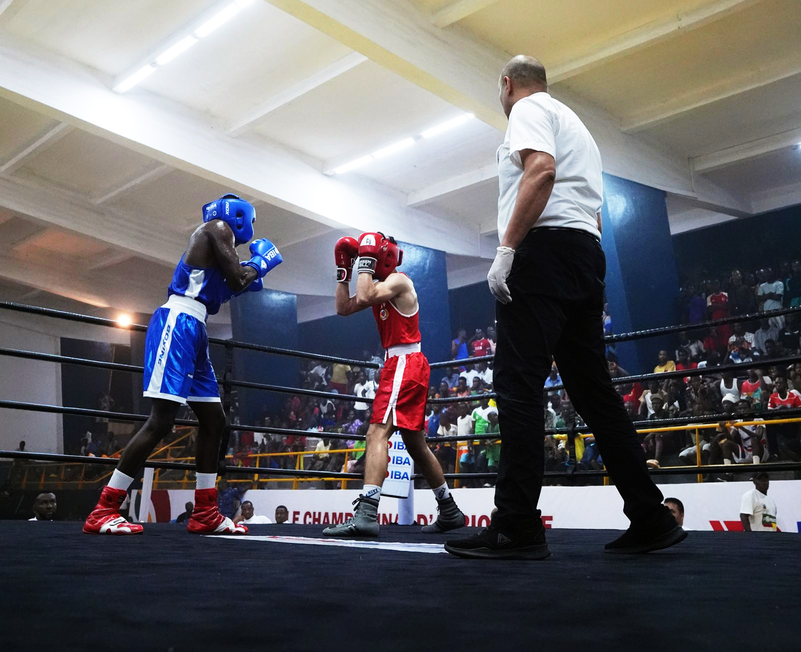 Day 3 Highlights: African Youth Boxing Championship in Conakry